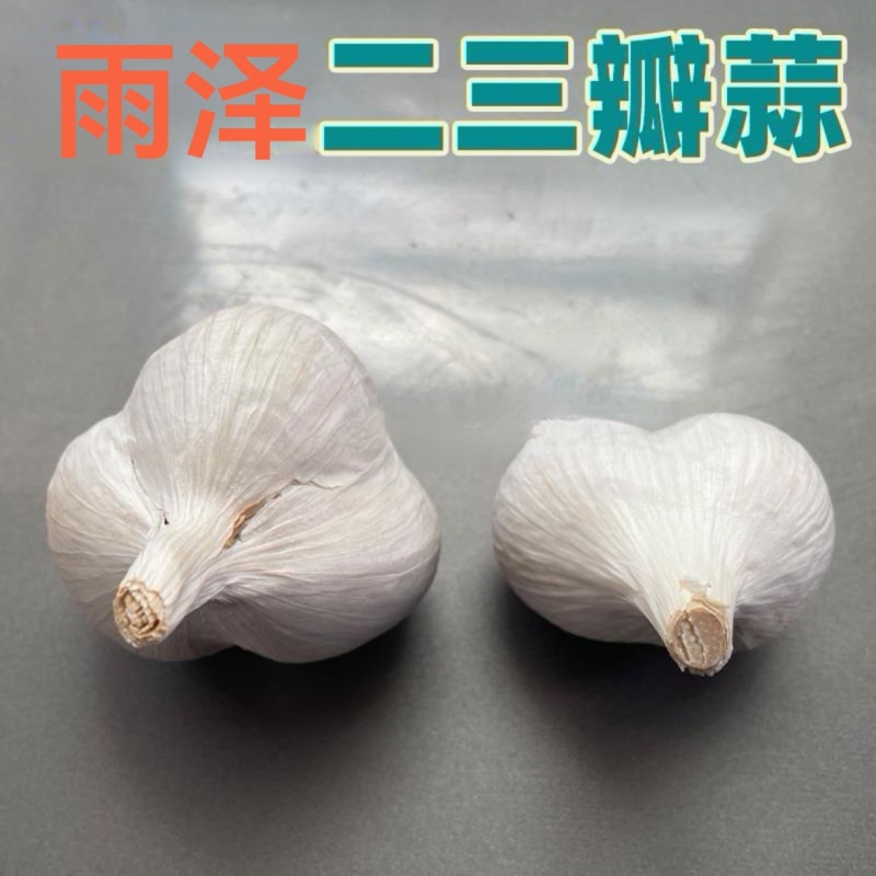 苍山二三瓣蒜新鲜老品种笨大蒜瓣大特级23瓣大蒜头大颗粒批