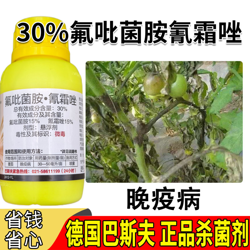 巴斯夫氟吡菌胺·氰霜唑30%番茄晚疫病杀菌剂