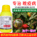 巴斯夫氟吡菌胺·氰霜唑30%番茄晚疫病杀菌剂