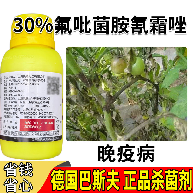 巴斯夫氟吡菌胺·氰霜唑30%番茄晚疫病杀菌剂