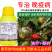 巴斯夫氟吡菌胺·氰霜唑30%番茄晚疫病杀菌剂