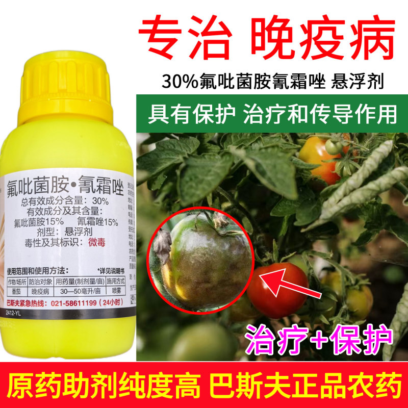 巴斯夫氟吡菌胺·氰霜唑30%番茄晚疫病杀菌剂