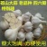 苍山大蒜正宗四六瓣白皮干蒜头地标农产品粘辣鲜香好吃下饭