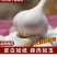 苍山大蒜正宗四六瓣白皮干蒜头地标农产品粘辣鲜香好吃下饭