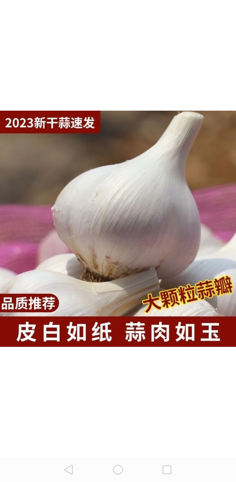 苍山大蒜正宗四六瓣白皮干蒜头地标农产品粘辣鲜香好吃下饭
