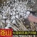 苍山大蒜正宗四六瓣白皮干蒜头地标农产品粘辣鲜香好吃下饭