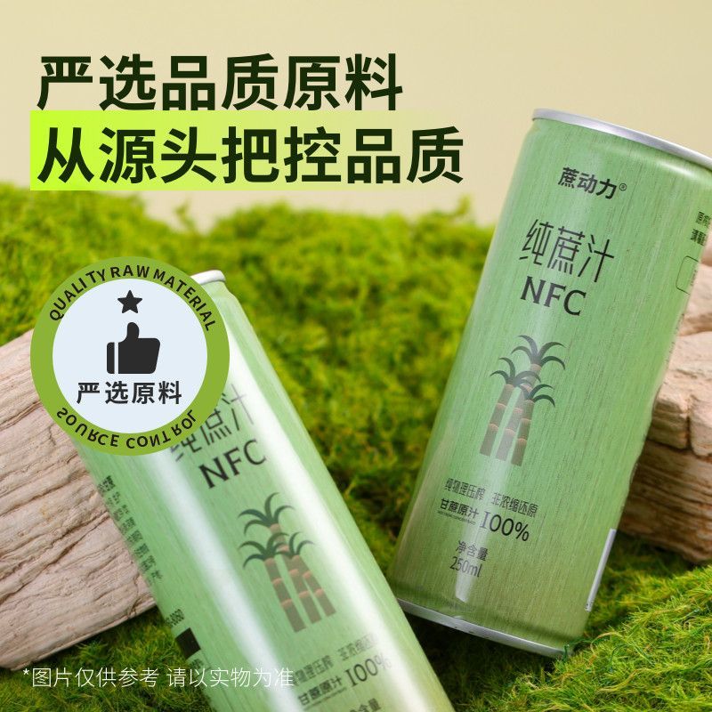 甘蔗汁NFC健康鲜榨果汁绿色饮品走亲访友网红礼盒装特产物