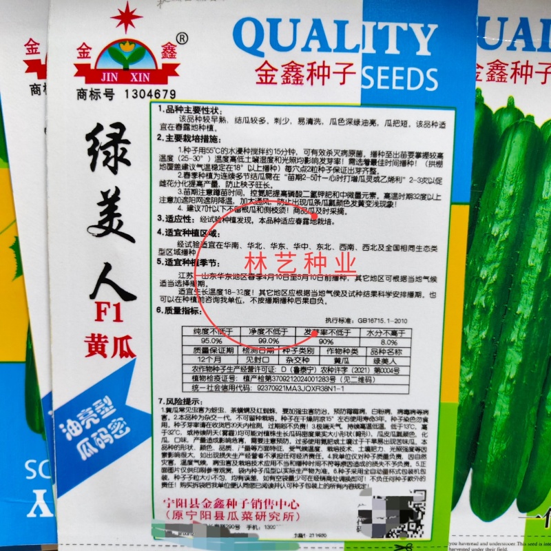 绿美人黄瓜种子肉质甜脆刺少瓜直强雌性高端精品水果小黄瓜