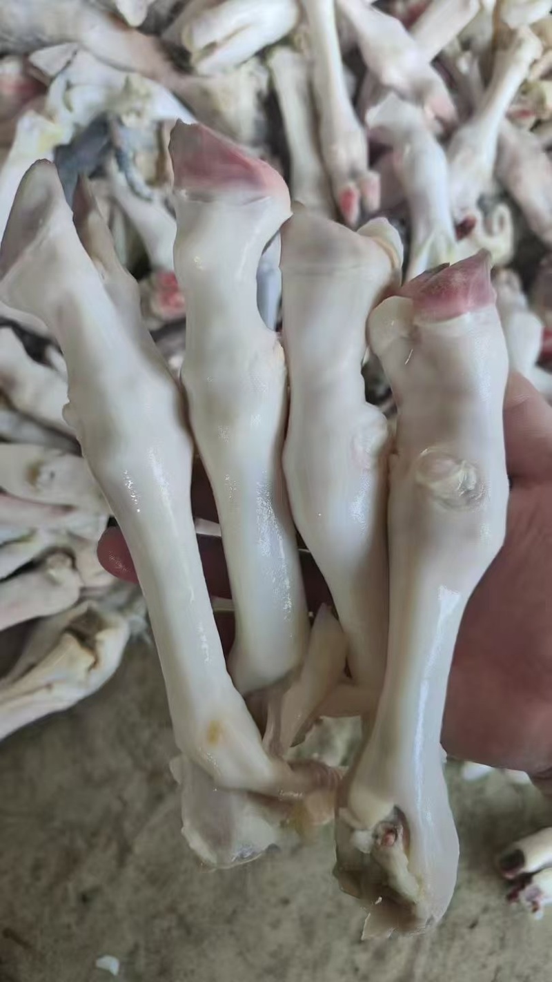 羊蹄一斤4-5个白蹄，一手货源厂家直销