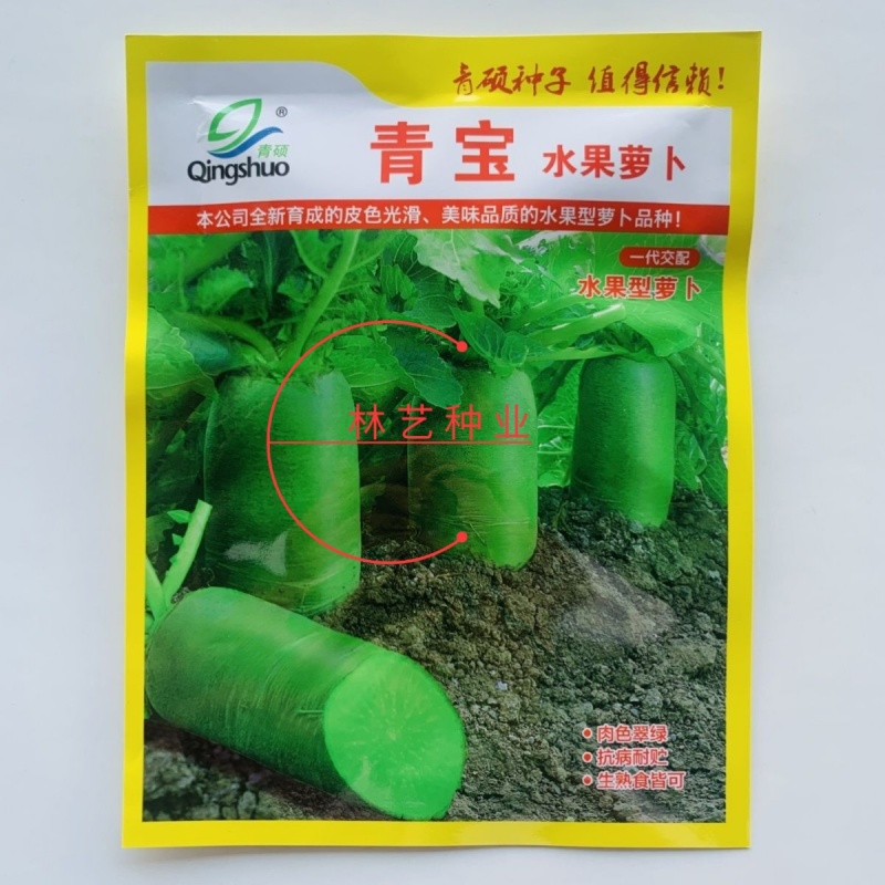 青宝水果萝卜种子抗病高产皮薄脆嫩多汁味甜青罗卜孑农家田园