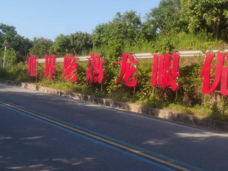 龙眼一件代发产地直销精品龙眼核小个大肉厚