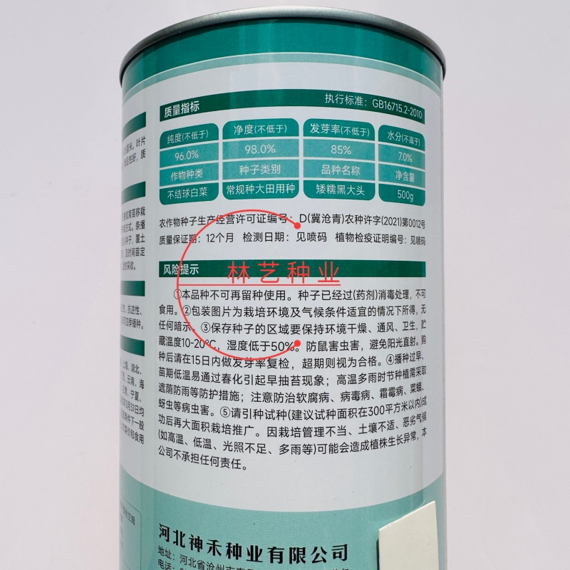 矮糯黑大头青梗菜种子优选四倍体黑大头菜种籽四季蔬菜籽大田