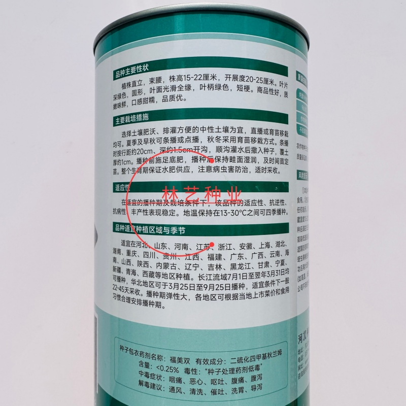 矮糯黑大头青梗菜种子优选四倍体黑大头菜种籽四季蔬菜籽大田