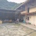 四川凉山核桃新鲜青皮核桃尝鲜核桃去皮核桃大优鲜带皮核