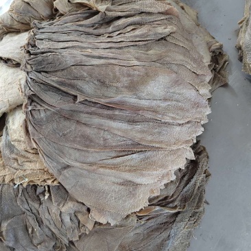 俄货百叶量大优惠