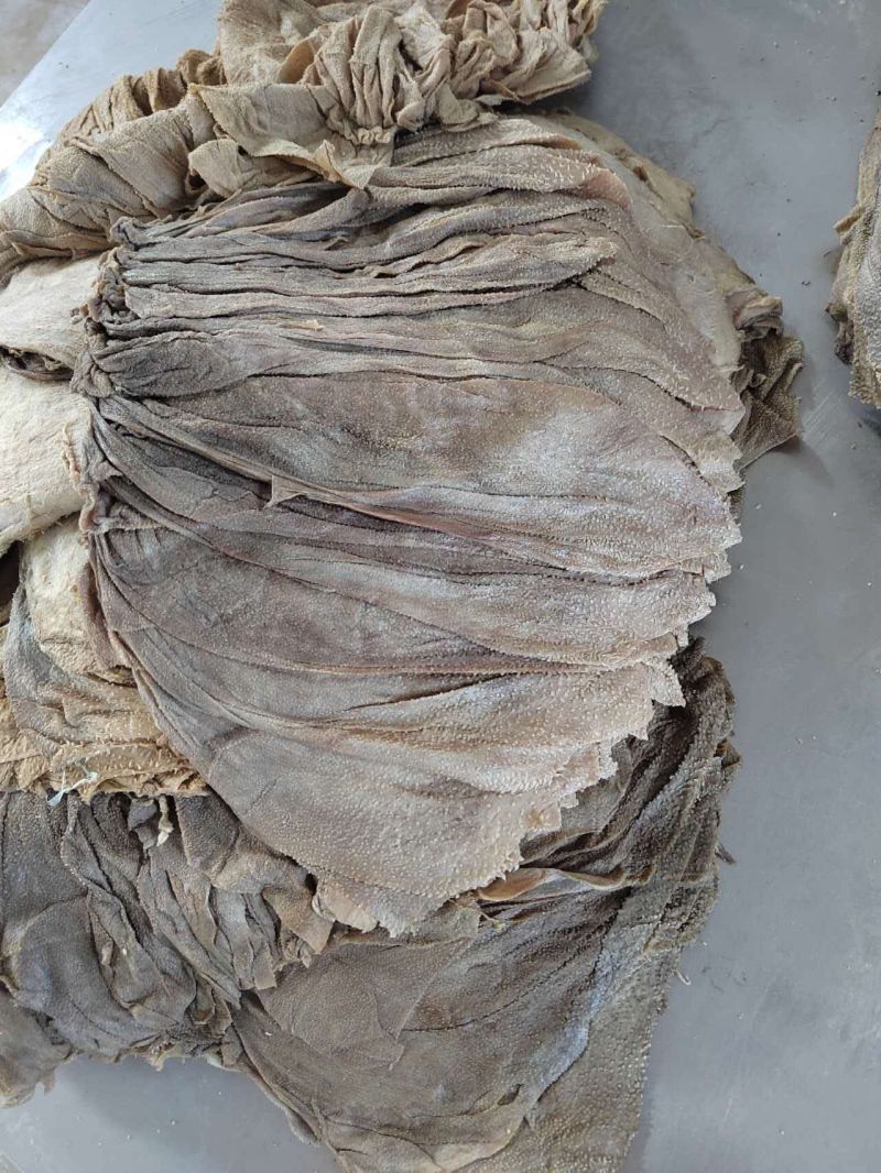 俄货百叶量大优惠