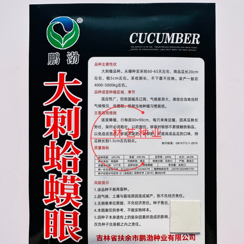 大刺蛤蟆眼巨型黄瓜种子中晚熟东北旱黄瓜粗大刺品种高产