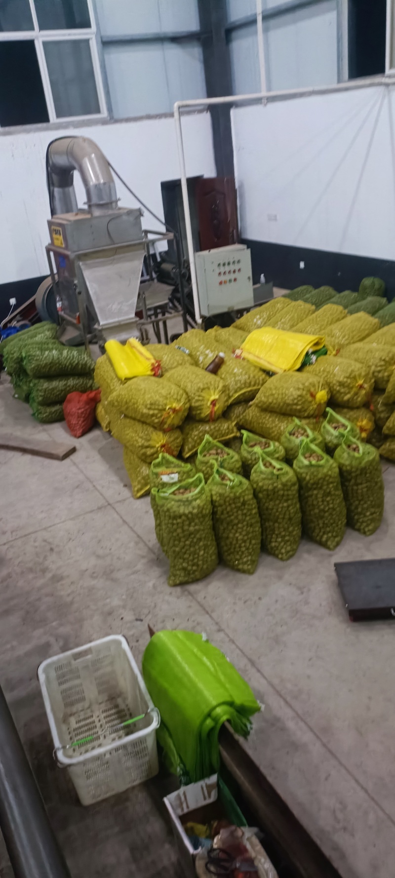四川凉山核桃新鲜青皮核桃尝鲜核桃去皮核桃大优鲜带皮核