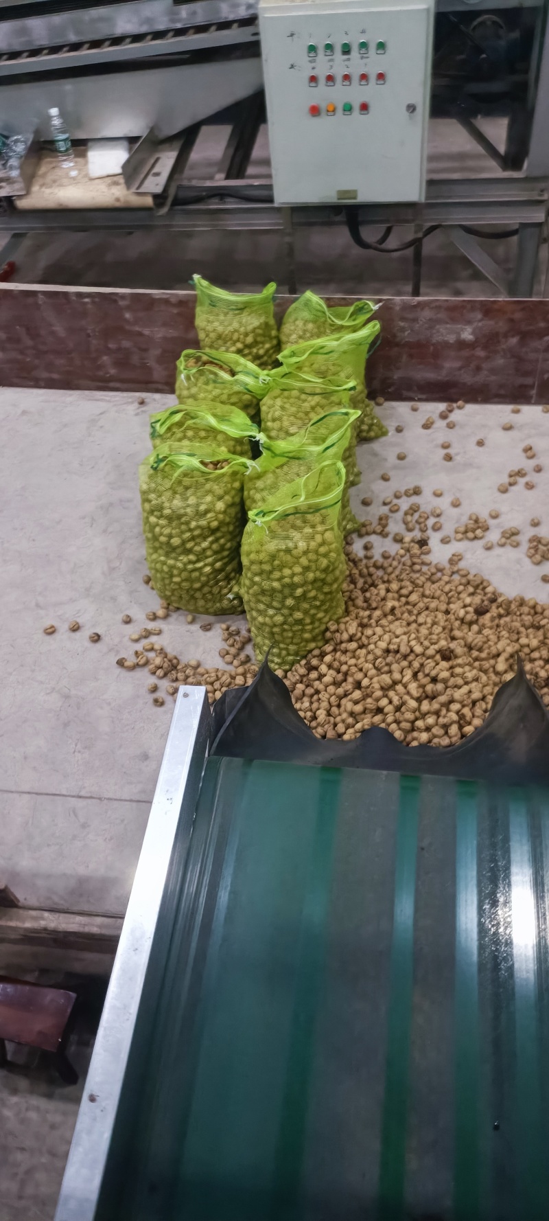 四川凉山有机核桃新鲜青皮核桃尝鲜核桃去皮核桃大优鲜带皮核
