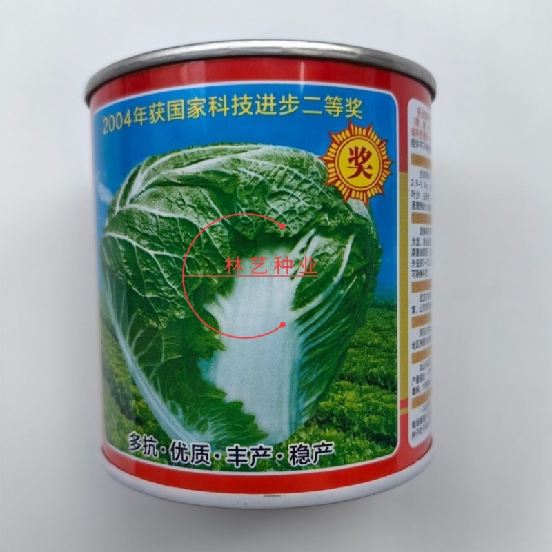 杨凌精纯秦白2号白菜种子矮桩叠抱包球紧实冬性强耐贮藏秋播