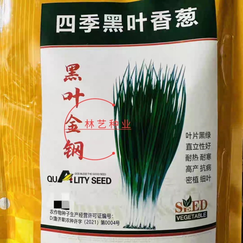 黑叶金刚香葱种子四季小香葱耐热耐寒春夏秋山东小葱种子籽