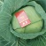 贵州省威宁县高山蔬菜平包菜