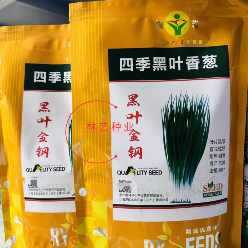 黑叶金刚香葱种子四季小香葱耐热耐寒春夏秋山东小葱种子籽