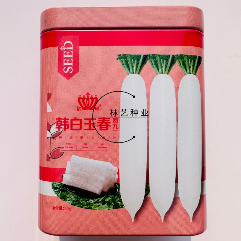 韩白玉春萝卜种子早熟高产根皮白光滑耐抽苔抗病白萝卜大田用