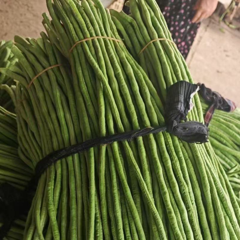 新鲜长豆角