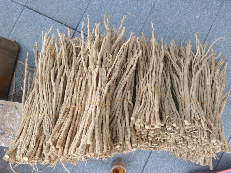 甜防风