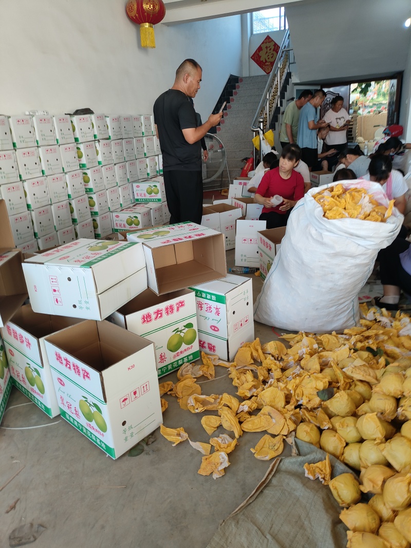 酥脆一号梨，支持电商平台社区团购，批发市场，外贸采购等。