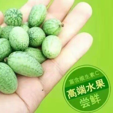 恩施富硒拇指西瓜