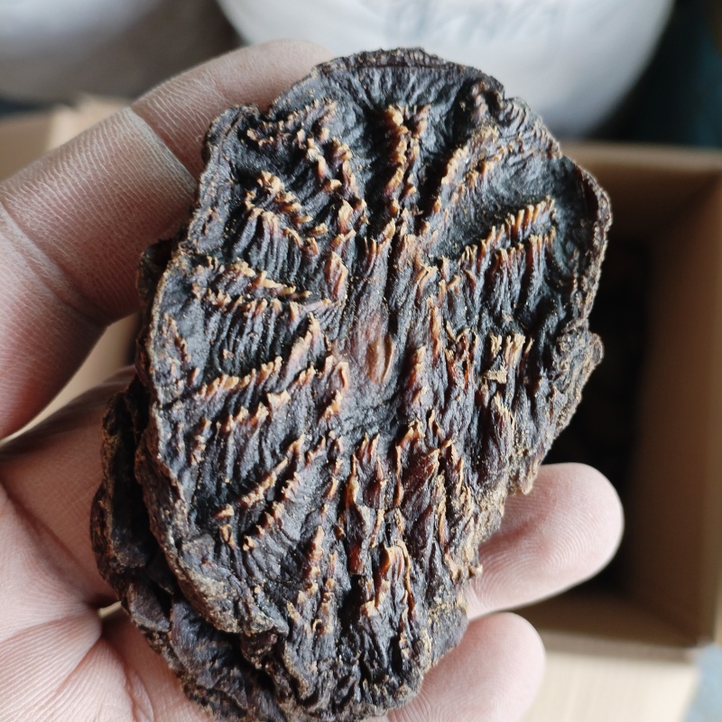 新疆肉苁蓉片黑大片新货滋补养生原料泡酒泡汤包邮批发