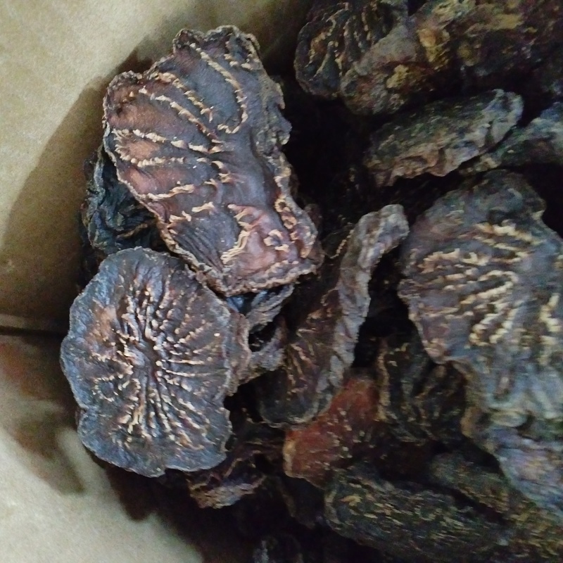 新疆肉苁蓉片黑大片新货滋补养生原料泡酒泡汤包邮批发