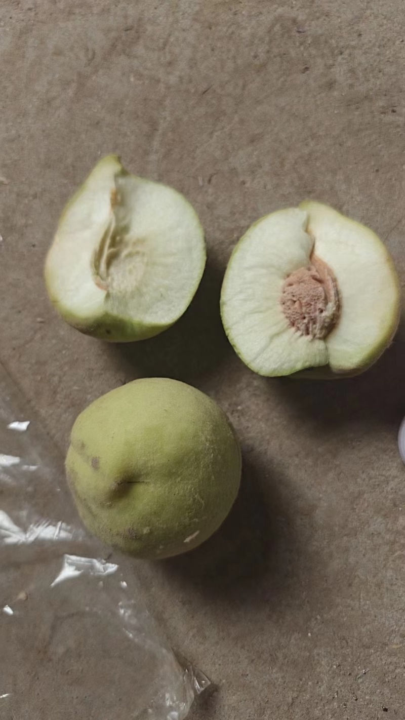 罐头桃