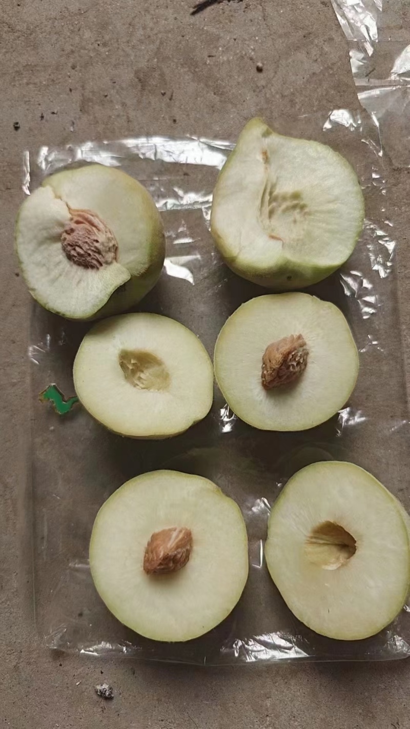 罐头桃