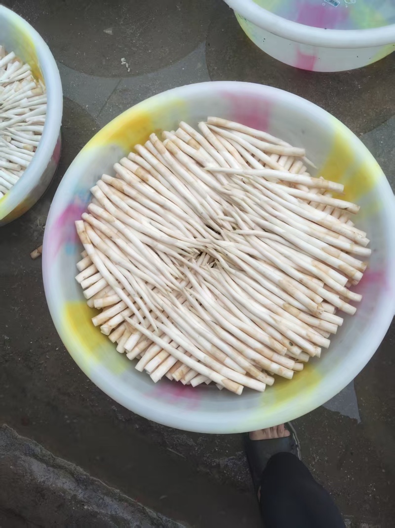 出售象牙菜