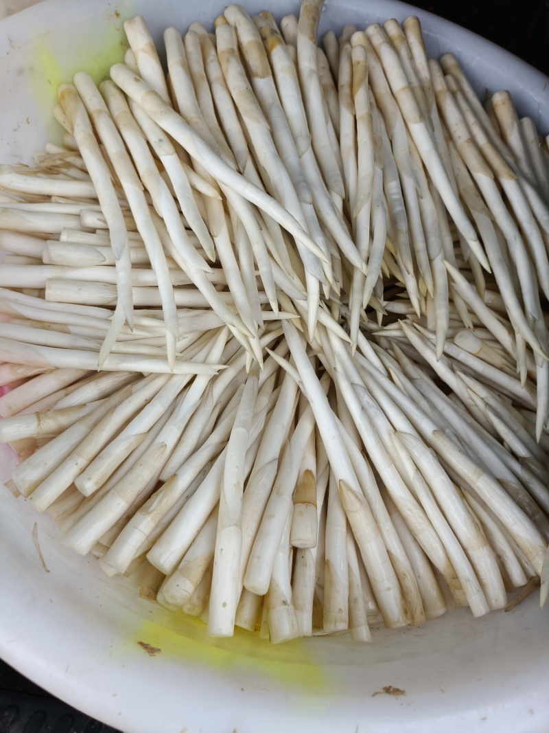 出售象牙菜