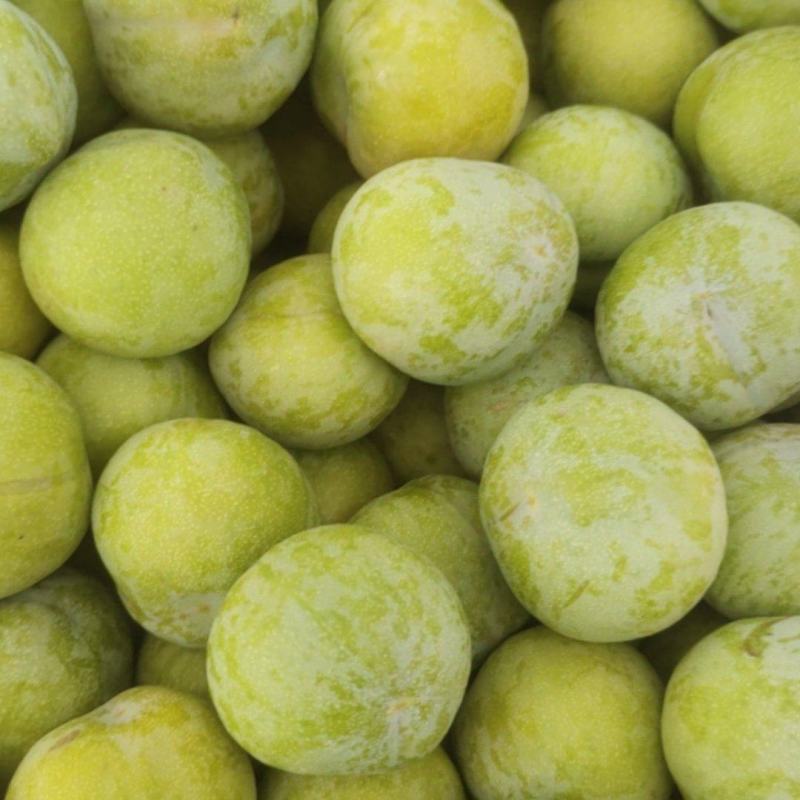 早熟青脆李脱骨李，高山四川重庆青皮黄肉代收代发各渠道