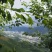 钱排高山三华李