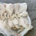 小鲳鱼、银鲳鱼、2/3两每条、小船货鲜度好、净重10斤