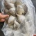 小鲳鱼、银鲳鱼、2/3两每条、小船货鲜度好、净重10斤