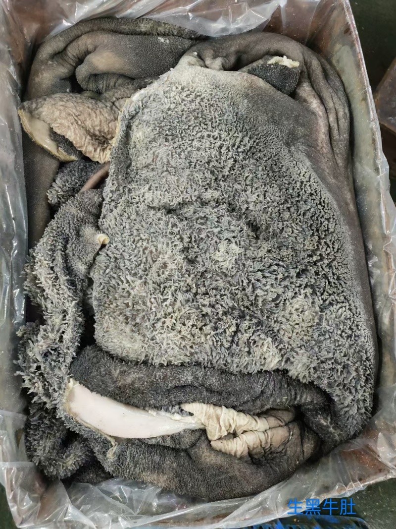 生黑牛肚