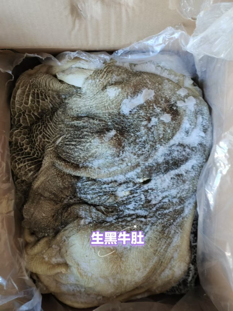 生黑牛肚
