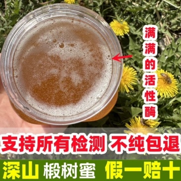 黑龙江雪乡深山椴树蜜黑蜂椴树蜜雪蜜洋槐蜜批发零售一手货源