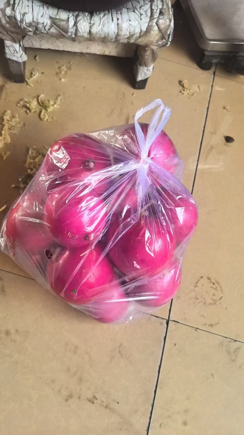 吉林红皮萝卜大量上市中，基地直发一手货源，视频看货对接全