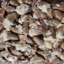 鸡心