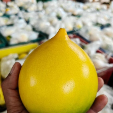 黄金果