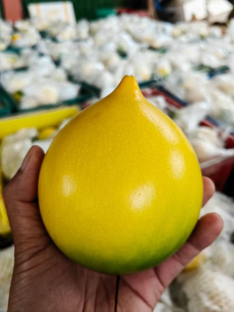 黄金果