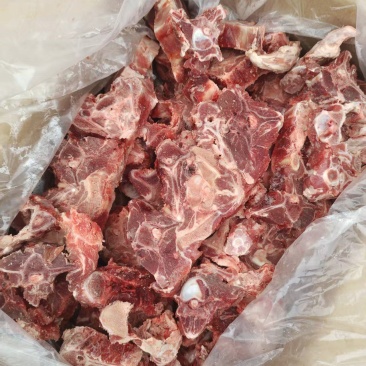 满肉羊蝎子